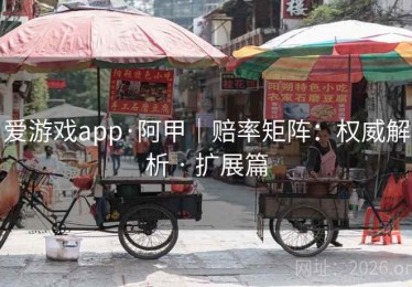 爱游戏app·阿甲｜赔率矩阵：权威解析 · 扩展篇