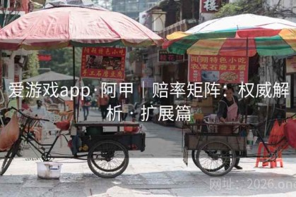 爱游戏app·阿甲｜赔率矩阵：权威解析 · 扩展篇
