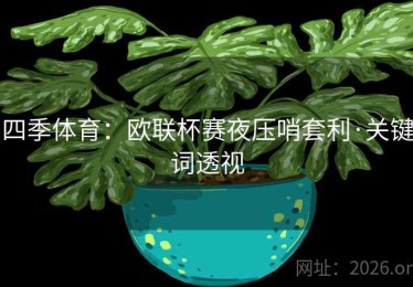 四季体育：欧联杯赛夜压哨套利·关键词透视