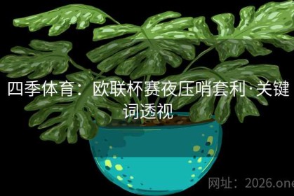 四季体育：欧联杯赛夜压哨套利·关键词透视