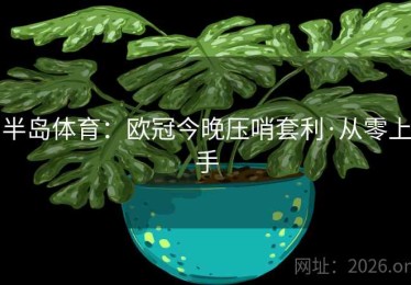 半岛体育：欧冠今晚压哨套利·从零上手