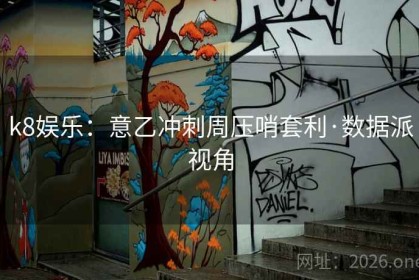 k8娱乐：意乙冲刺周压哨套利·数据派视角