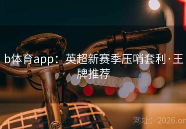 b体育app：英超新赛季压哨套利·王牌推荐