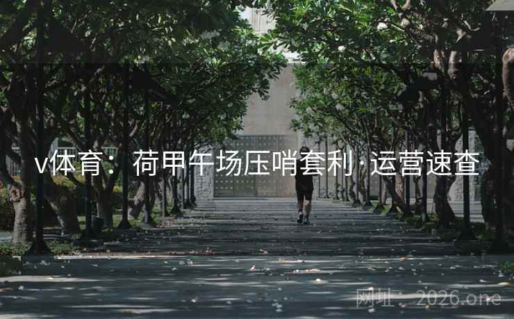 v体育：荷甲午场压哨套利·运营速查